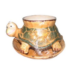 diakosmitiki-chelona-glastra-me-piato-keramiko-kipou-01.603.209