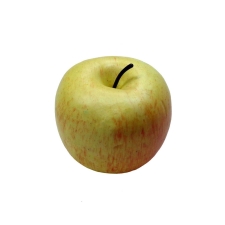 Διακοσμητικό μήλο - 00.902.648