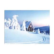 Γυάλινο κάδρο χιονισμένο σπίτι MS-1-14146