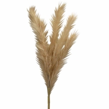 ΚΛΑΔΙ PAMPAS ΙΒΟΥΑΡ