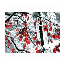 Γυάλινο κάδρο χιονισμένα κλαδιά κόκκινα MS-1-14158