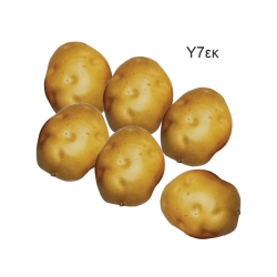 Διακοσμητικές πατάτες ΣΕΤ 6 τεμ. - 01.001.238