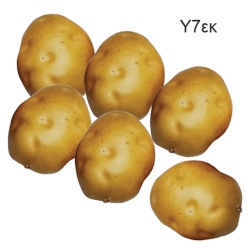 Διακοσμητικές πατάτες ΣΕΤ 6 τεμ. - 01.001.238
