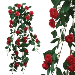 Ρίζα κρεμαστή τριαντάφυλλα - 01.002.796c