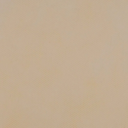 ΡΟΛΟ ΠΑΝΙ ΡΡL (NON WOVEN) ΣΑΜΠΑΝΙ 60cm X 18m