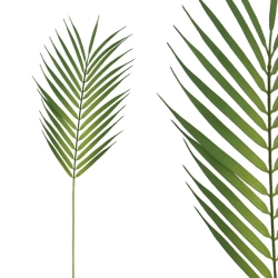 ΚΛΑΔΙ ΦΥΛΛΟ ΦΟΙΝΙΚΑ Υ60cm 72/864ΚΙΒ
