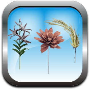 kladia_louloudia_technita_foam_m