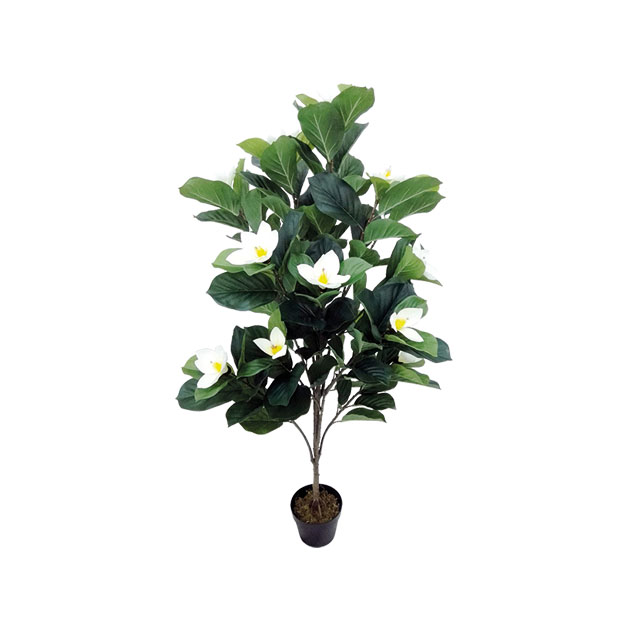 diakosmitiko_dentro_fyto_ploumeria_me_anthi_ekrou_me_glastra_01.002.770