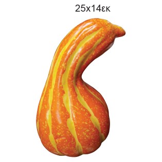 diakosmitika-frouta-lachanika-kolokytha-01.001.235