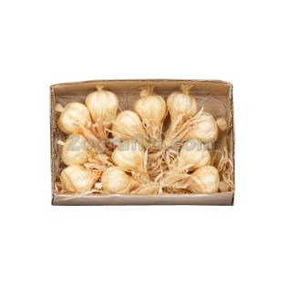 diakosmitika-froyta-lachanika-skorda-00.900.533