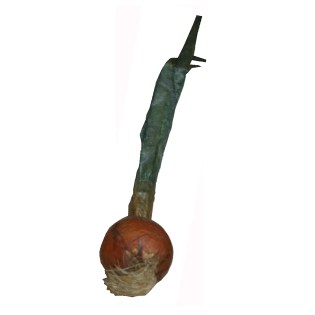 diakosmitika_frouta_lachanika_kremmudi_MS-02-01-F218