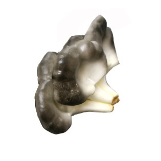 diakosmitika_frouta_lachanika_manitaria_01.000.902