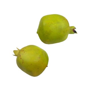 diakosmitika_frouta_lachanika_rodi_prasino_01.000.907