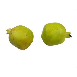 diakosmitika_frouta_lachanika_rodi_prasino_01.000.907