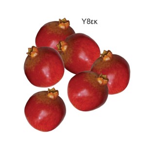 diakosmitika_frouta_lachanika_rodia_01.001.239