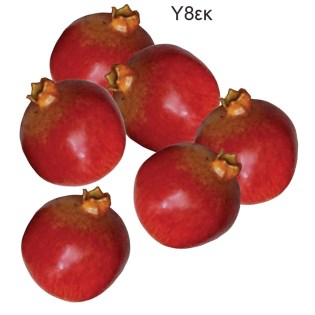 diakosmitika_frouta_lachanika_rodia_01.001.239