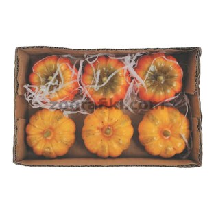 diakosmitikes-kolokythes-mesaies-00.903.519