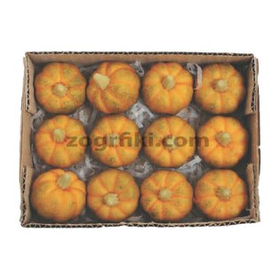 diakosmitikes-kolokythes-mikres-00.903.518