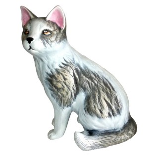 diakosmitiki-gata-orthia-gkri-keramiko-spiti-kipos-01.603.436