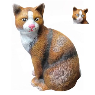 diakosmitiki-gata-orthia-kafe-keramiko-spiti-kipos-03.203.439a