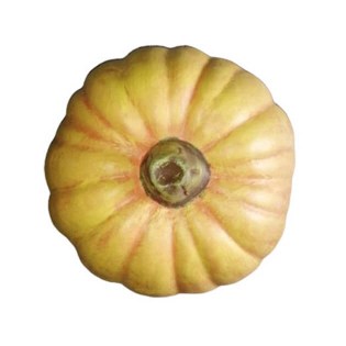 diakosmitiki-kolokytha-keramiki-spiti-kipos-vitrina-01.603.959