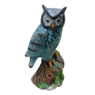 diakosmitiki-koukouvagia-se-kormo-mple-keramiko-spiti-kipos-01.603.602a