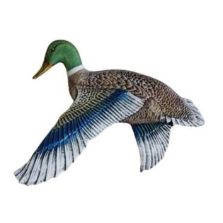 diakosmitiki-papia-toichou-me-katevasmena-ftera-keramiko-kipou-new-01.604.084