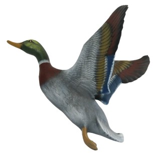 diakosmitiki-papia-toichou-me-sikomena-ftera-keramiko-kipou-01.603.942