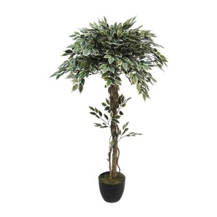 diakosmitiko-dentro-benjamin-dixromo-bala-01.002.765