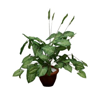 diakosmitiko_dentro_01.001.421