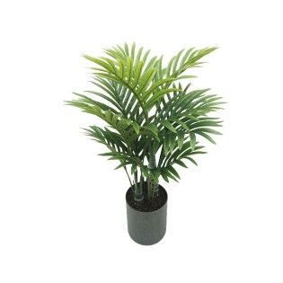 diakosmitiko_dentro_fyto_foinikas_me_glastra_01.002.777