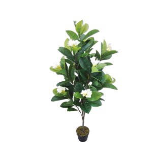 diakosmitiko_dentro_fyto_manolia_me_anthi_ekrou_me_glastra_01.002.769