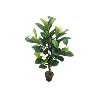 diakosmitiko_dentro_fyto_manolia_me_anthi_ekrou_me_glastra_01.002.771