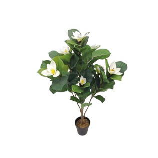 diakosmitiko_dentro_fyto_ploumeria_me_anthi_ekrou_me_glastra_01.002.772