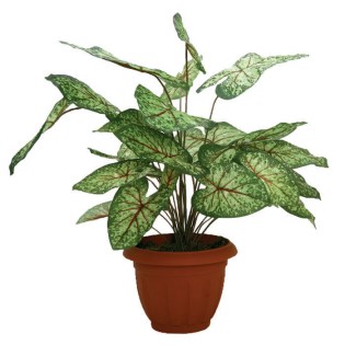 diakosmitiko_dentro_mikro_01.002.112