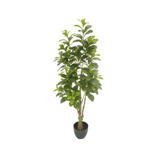 diakosmitiko_dentro_paxyra_me_glastra_01.002.768