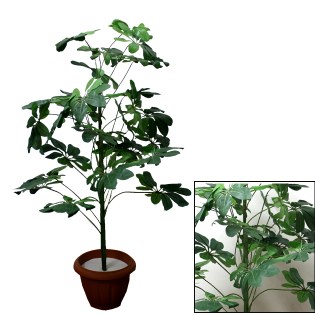 diakosmitiko_dentro_seflera_prasini_01.001.392