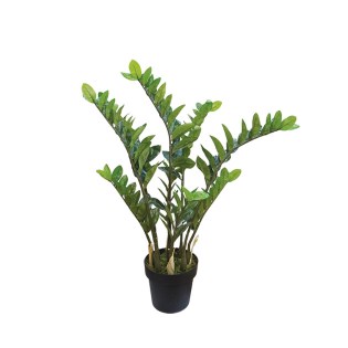 diakosmitiko_dentro_zamiokoylkas_me_glastra_01.002.499