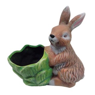 diakosmitikos-lagos-orthios-me-glastra-lachano-kafe-keramiko-01.603.625