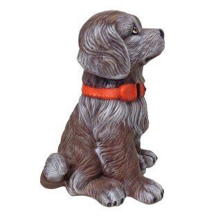 diakosmitikos_skylos_megalos_kafe_spiti_kipos_vitrina_01.602.212