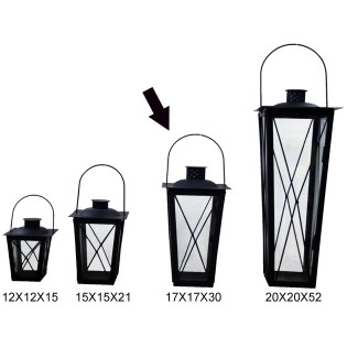 fanari-thuellas-mauro-ms-15-01-16084