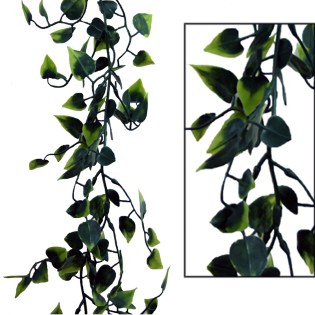 girlanta_pothos_MS-00-00-4218