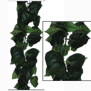 girlanta_pothos_prasinos_MS-00-00-196-279