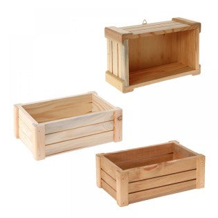 kafasi_ksylino_avafo_mikro_00.401.993