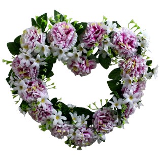 kardia_louloudenia_MS-12-00-1512-1