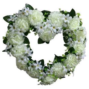 kardia_louloudenia_MS-12-00-1512-4