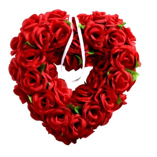 kardia_louloudenia_MS-12-00-1513-2