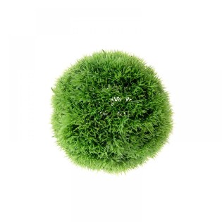 mpala_gkazon_00.402.399