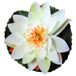 noyfara_megala_epipleonta_leyka_sampani_01.000.947