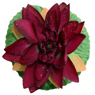 noyfara_megala_epipleonta_mpornto_01.000.946